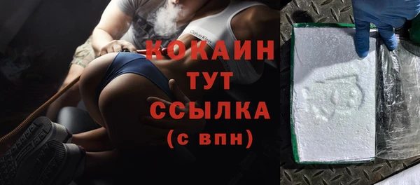 PSILOCYBIN Дмитриев