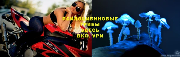 молекула духа Дмитров