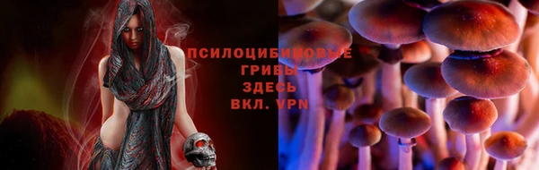 молекула духа Дмитров