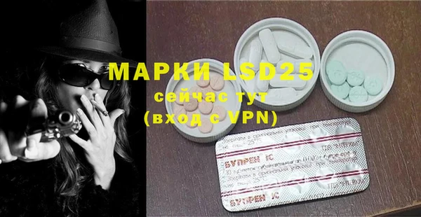 PSILOCYBIN Дмитриев