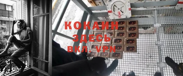 прущие грибы Ветлуга