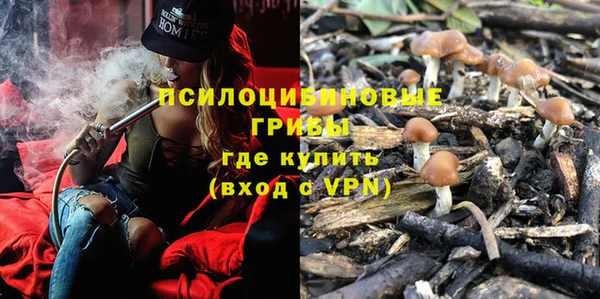 молекула духа Дмитров
