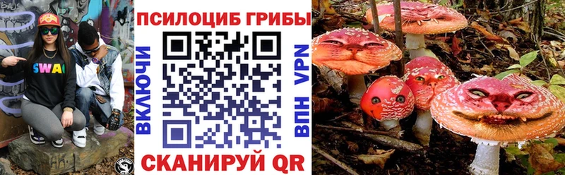 даркнет сайт  Жердевка  Галлюциногенные грибы Magic Shrooms 